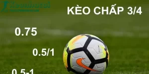 Tỷ Lệ Kèo Là Gì? Tại Sao Nó Quan Trọng Trong Cá Cược? 17 Tỷ lệ kèo là gì tructiepbongda360