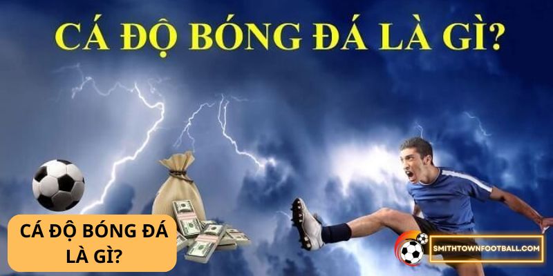 Cá độ bóng đá là gì? 2 CÁ độ bóng đá là gì