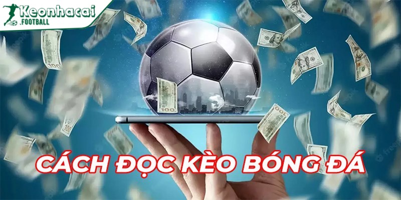 Cách đọc kèo bóng đá hỗ trợ tân thủ tham gia cược