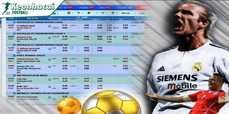 Tỷ lệ kèo trực tiếp tỷ lệ thường được dùng trong cá cược bóng đá