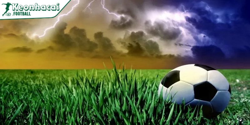 Cò bóng đá là gì - Tất tần tật các kiến thức hữu ích 2 Cò bóng đá là gì là một mắt xích tồn tại lâu đời trong thị trường cá cược