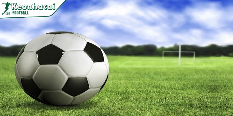 Cò bóng đá là gì - Tất tần tật các kiến thức hữu ích 3 Hình thức hoạt động của cò bóng đá là gì