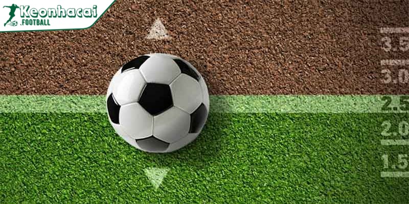 Dutching trong cá cược - Mẹo giúp tăng cơ hội luôn thắng 4 Hướng dẫn cách chơi Dutching hiệu quả cho người mới