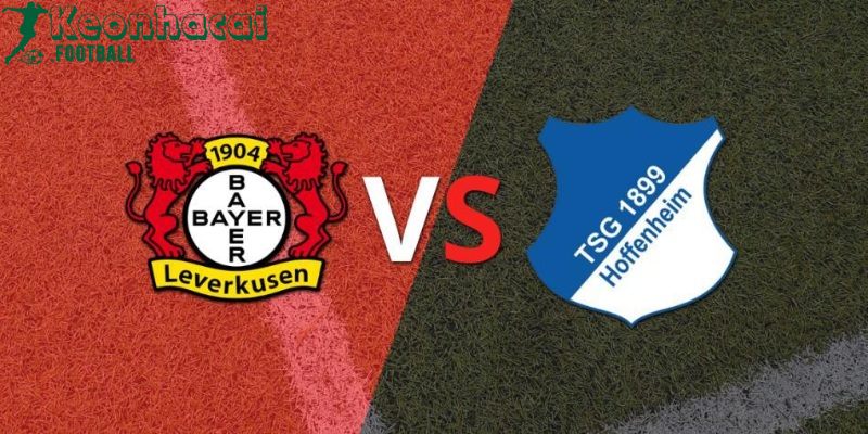 Soi kèo Bayer Leverkusen vs Hoffenheim - 20h30 ngày 23/8 - Bundesliga 1 Soi kèo Bayer Leverkusen vs Hoffenheim