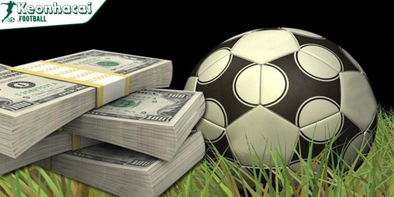 Dành nhiều thời gian tìm hiểu kỹ lưỡng mọi yếu tố liên quan