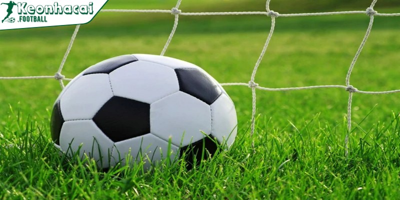 Kèo bong 88 và những thông tin thú vị dành cho bạn 2 Kèo bong 88 nhanh chóng nổi bật trên thị trường giải trí