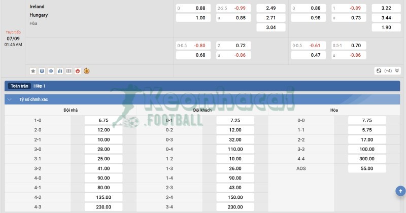Tỷ lệ kèo Ireland vs Hungary