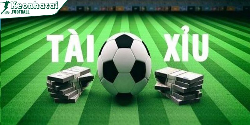 Các loại kèo tài xỉu cơ bản trong túc cầu rất đa dạng